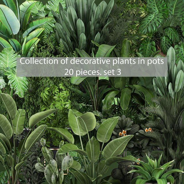 collection of plants of 20 pieces set 3 new Model 3D .c4d .max .obj .3ds .fbx .stl .blend