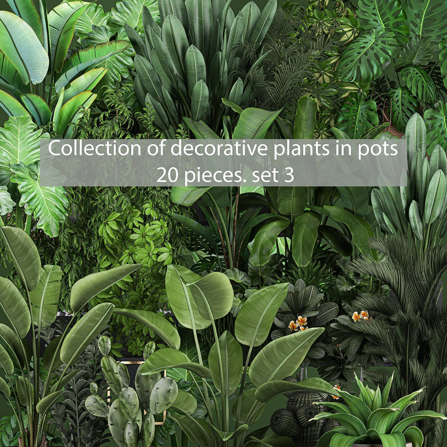 collection of plants of 20 pieces set 3 new 3D Model .c4d .max .obj .3ds .fbx .stl .blend 
