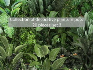 collection of plants of 20 pieces set 3 new 3D Model