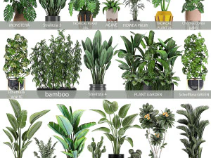 collection of plants of 20 pieces set 3 new 3D Model