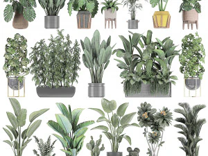 collection of plants of 20 pieces set 3 new 3D Model