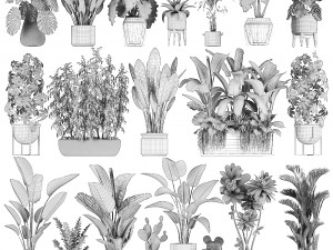collection of plants of 20 pieces set 3 new Model 3D