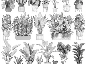 collection of plants of 20 pieces set 3 new 3D Model