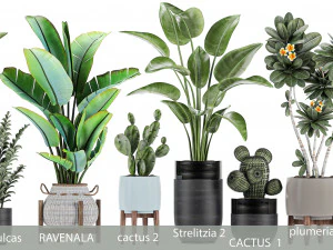 collection of plants of 20 pieces set 3 new 3D Model
