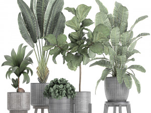 decorative plants in a black flowerpots 736 3D Model