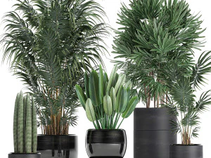 rośliny tropikalne w czarnych doniczkach 738 Model 3D