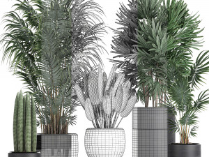 tropical plants in a black flowerpots 738 Modello 3D