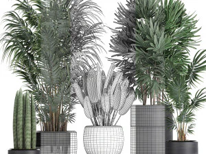 tropical plants in a black flowerpots 738 3D Model