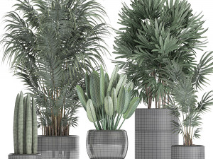 tropical plants in a black flowerpots 738 Modello 3D