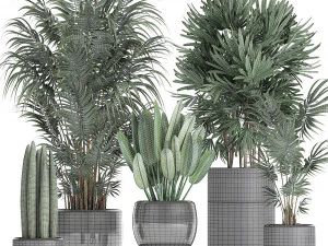tropical plants in a black flowerpots 738 3D Model