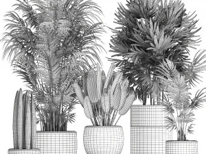 tropical plants in a black flowerpots 738 3D Model