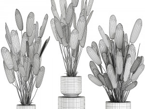 strelitzia in a pot for the interior 738 3D Model