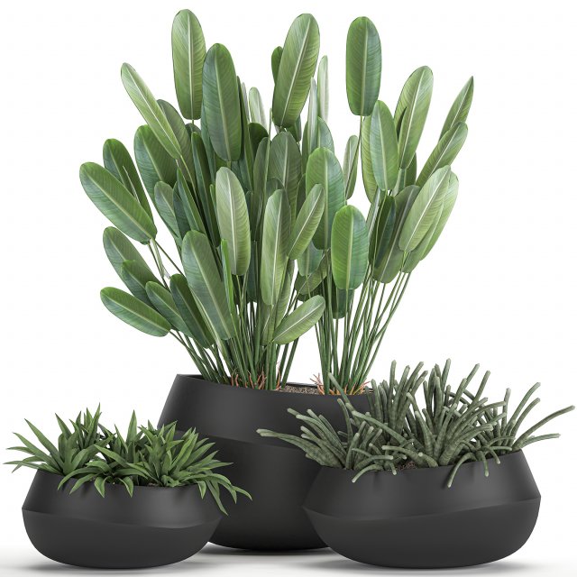 houseplants in a pot for the interior 744 Model 3D .c4d .max .obj .3ds .fbx .stl .blend 
