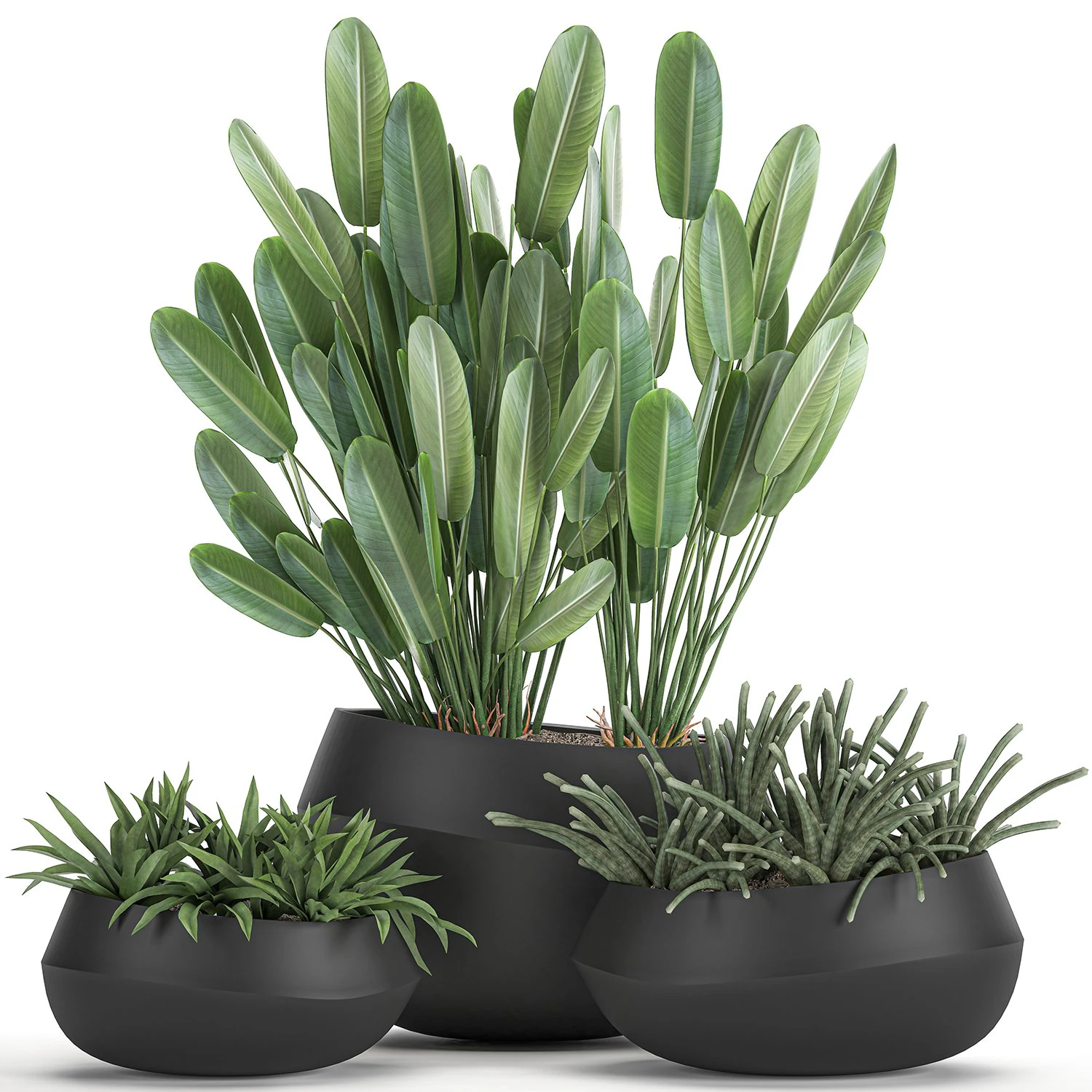 houseplants in a pot for the interior 744 3D Model .c4d .max .obj .3ds .fbx .stl .blend