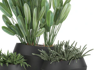 houseplants in a pot for the interior 744 3D Model