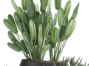 houseplants in a pot for the interior 744 3D Model
