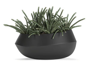 houseplants in a pot for the interior 744 3D Model