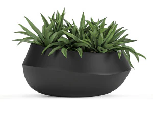 houseplants in a pot for the interior 744 3D Model