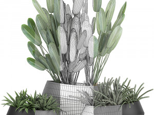 houseplants in a pot for the interior 744 Model 3D