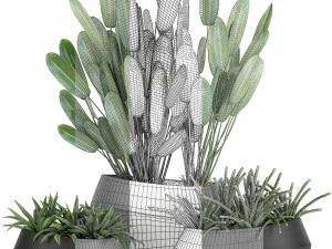 houseplants in a pot for the interior 744 3D Model