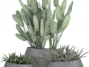 houseplants in a pot for the interior 744 Model 3D