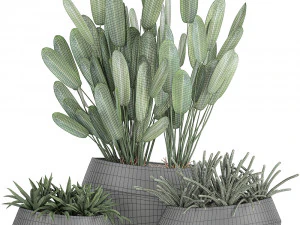 houseplants in a pot for the interior 744 3D Model