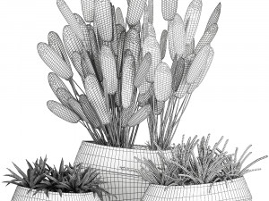 houseplants in a pot for the interior 744 Model 3D