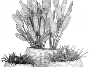houseplants in a pot for the interior 744 3D Model