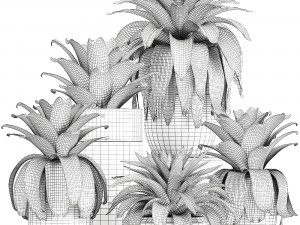 exotic plants bromelia in a pot for the interior 745 3D-Modell