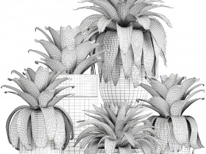 exotic plants bromelia in a pot for the interior 745 3D Model