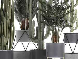 collection of decorative cactus in black flowerpots 746 Modelo 3D