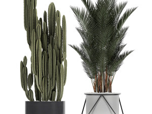 collection of decorative cactus in black flowerpots 746 Modelo 3D