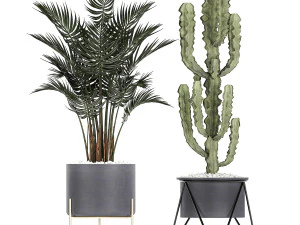 collection of decorative cactus in black flowerpots 746 3D Model