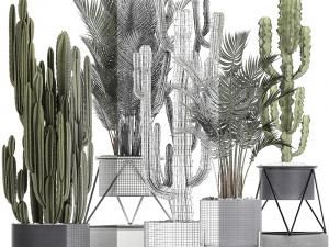 collection of decorative cactus in black flowerpots 746 Modelo 3D