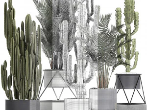 collection of decorative cactus in black flowerpots 746 3D Model