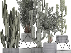 collection of decorative cactus in black flowerpots 746 Modelo 3D