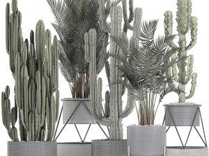 collection of decorative cactus in black flowerpots 746 3D Model