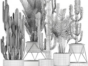 collection of decorative cactus in black flowerpots 746 Modelo 3D
