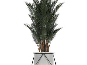 collection of decorative cactus in black flowerpots 746 3D Model