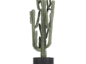collection of decorative cactus in black flowerpots 746 Modelo 3D