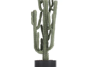 collection of decorative cactus in black flowerpots 746 3D Model