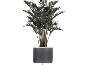 collection of decorative cactus in black flowerpots 746 Modelo 3D
