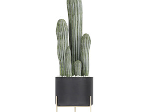 collection of decorative cactus in black flowerpots 747 3D Model