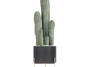 collection of decorative cactus in black flowerpots 747 3D Model