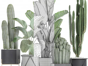 collection of decorative cactus in black flowerpots 747 3D Model