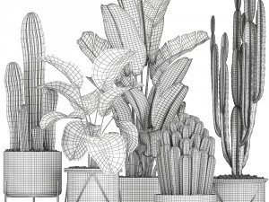 collection of decorative cactus in black flowerpots 747 3D Model