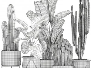 collection of decorative cactus in black flowerpots 747 3D Model