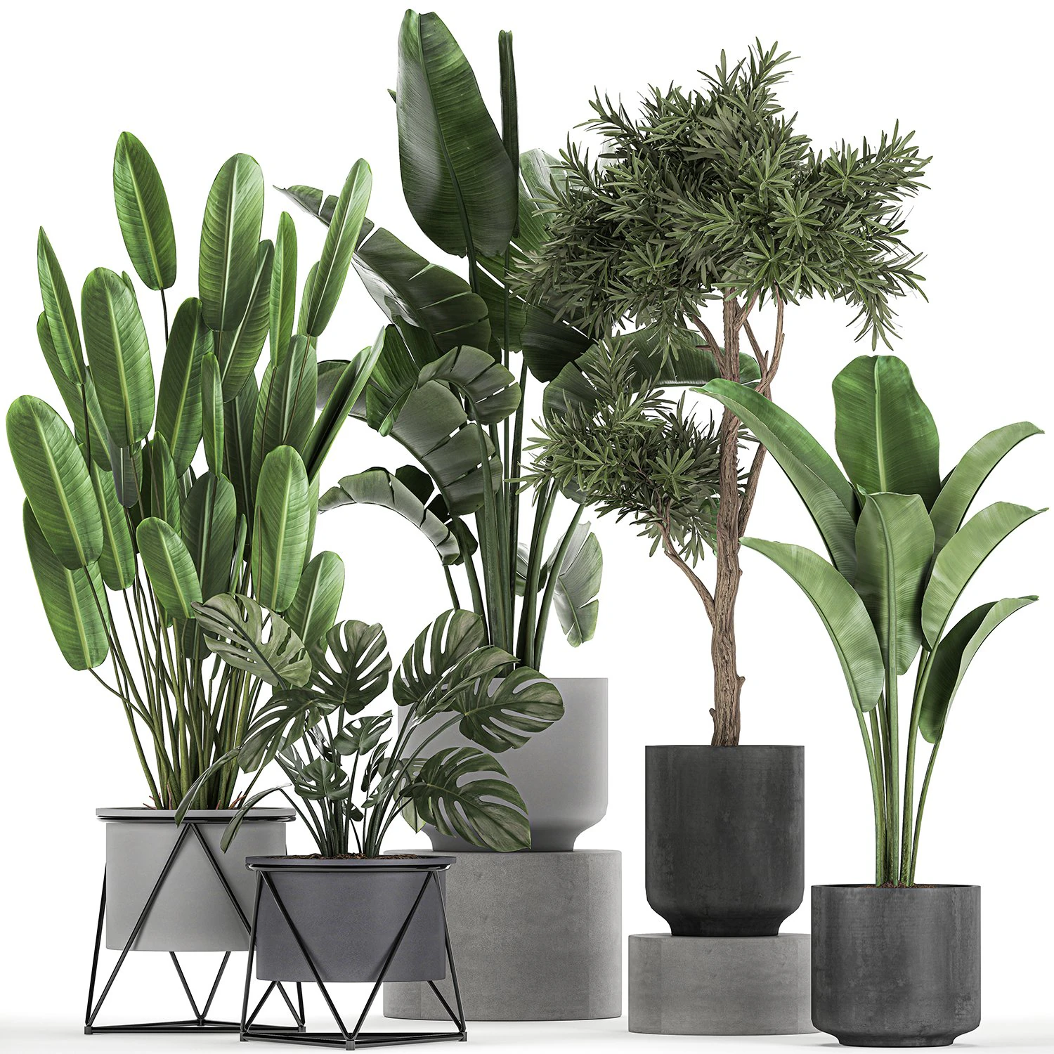 collection of decorative plants in flowerpots 749 3D Model .c4d .max .obj .3ds .fbx .stl .blend 