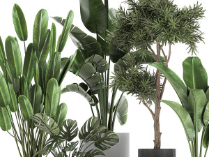 collection of decorative plants in flowerpots 749 3D Модель