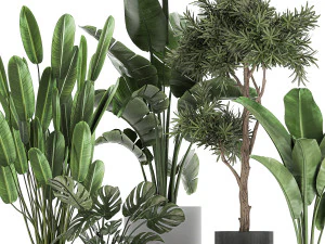 collection of decorative plants in flowerpots 749 3D Model